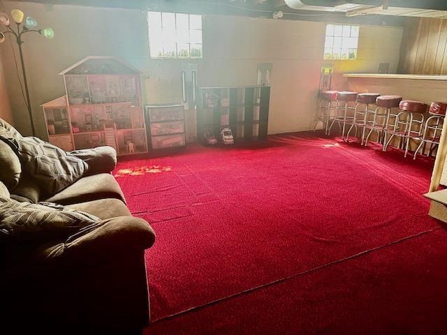 interior space with bar area and carpet floors