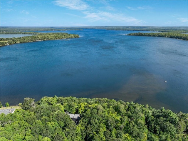 drone / aerial view featuring a wooded view and a water view