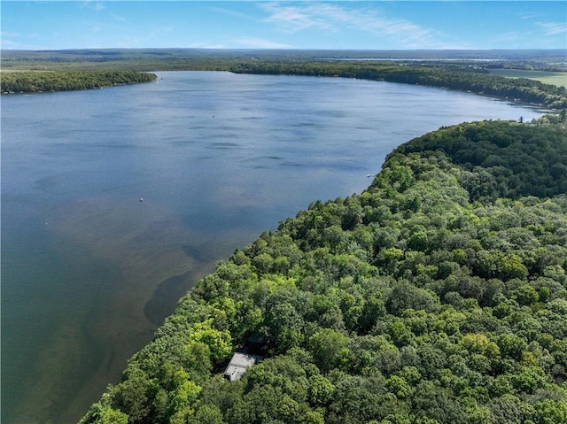 bird's eye view with a forest view and a water view