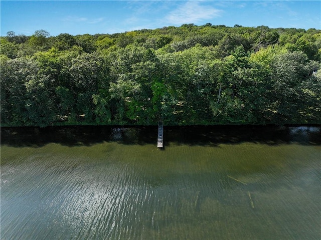 exterior space featuring a water view and a view of trees