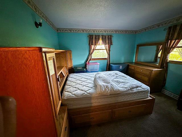 bedroom with carpet and a textured ceiling