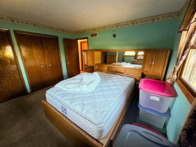 carpeted bedroom featuring visible vents