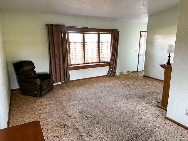 sitting room with a baseboard heating unit, baseboards, carpet floors, and a textured ceiling