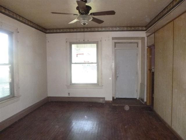 interior space featuring dark wood-type flooring, ceiling fan, and multiple windows