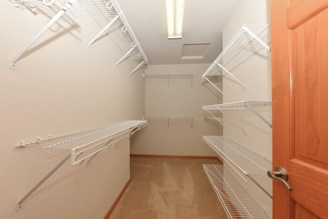 walk in closet with light colored carpet