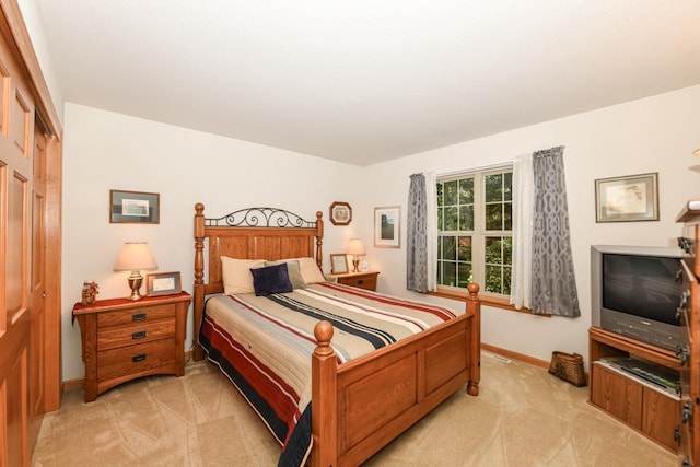 carpeted bedroom featuring a closet