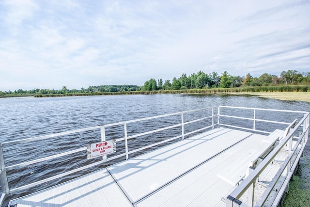 dock area with a water view