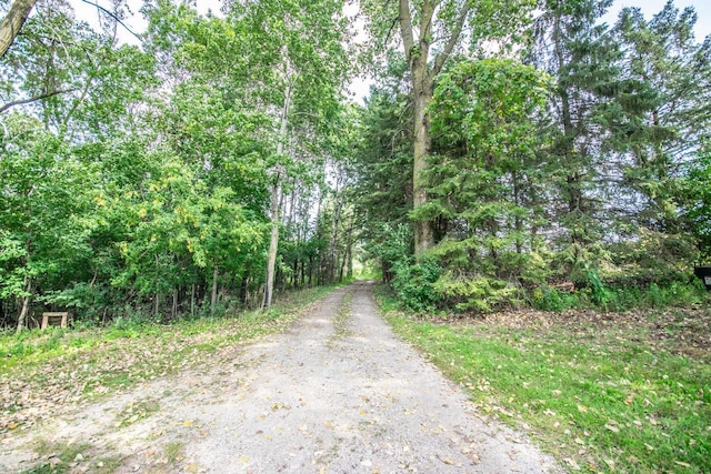 view of road featuring a wooded view