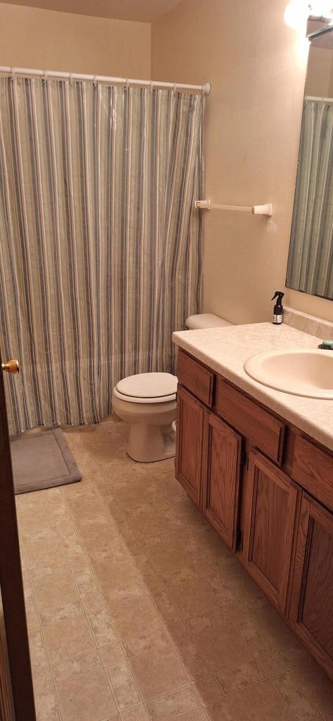 bathroom featuring vanity, toilet, and curtained shower