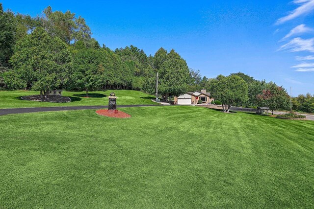 view of yard with a garage