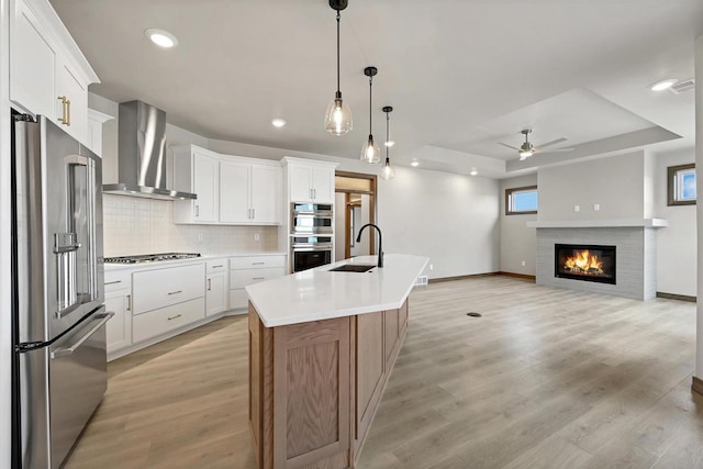 1630 N Honeysuckle Cir, De Pere, WI 54115 - kitchen featuring wall chimney range hood, a tray ceiling, decorative backsplash, stainless steel appliances, and a sink