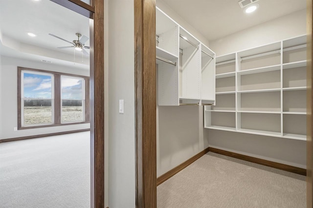 1630 N Honeysuckle Cir, De Pere, WI 54115 - walk in closet with visible vents, ceiling fan, and carpet floors