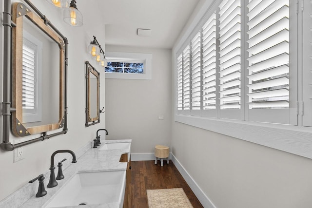 bathroom featuring wood-type flooring, plenty of natural light, and vanity