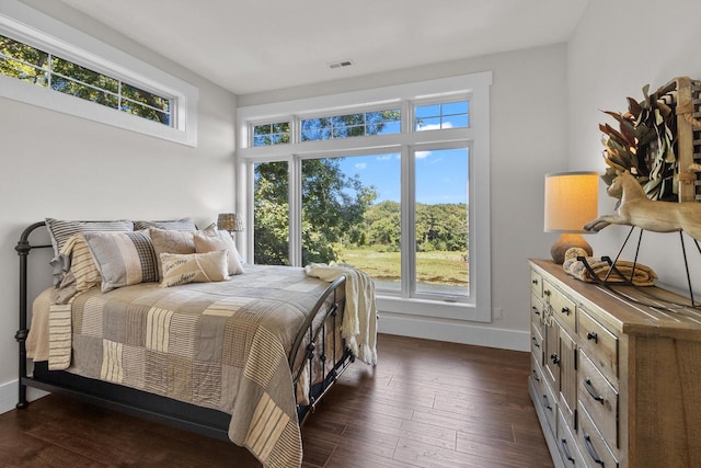 bedroom featuring dark hardwood / wood-style floors and multiple windows