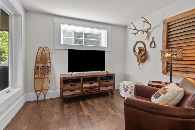 living room with dark hardwood / wood-style flooring