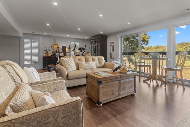 living room with dark wood-type flooring and a wealth of natural light