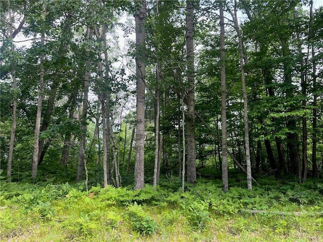 Listing photo 2 for LOT57 Spotted Fawn Rd, Danbury WI 54830