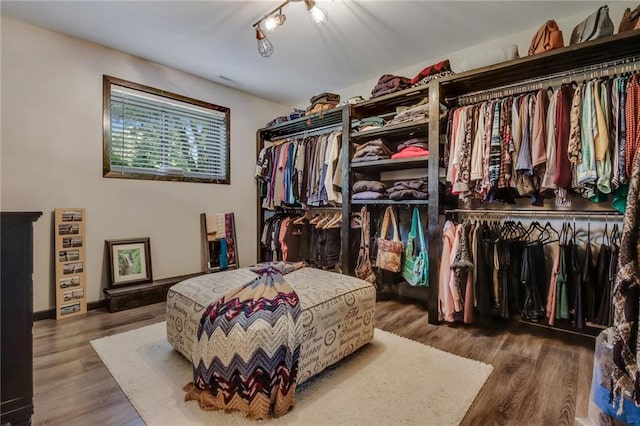 spacious closet featuring hardwood / wood-style floors