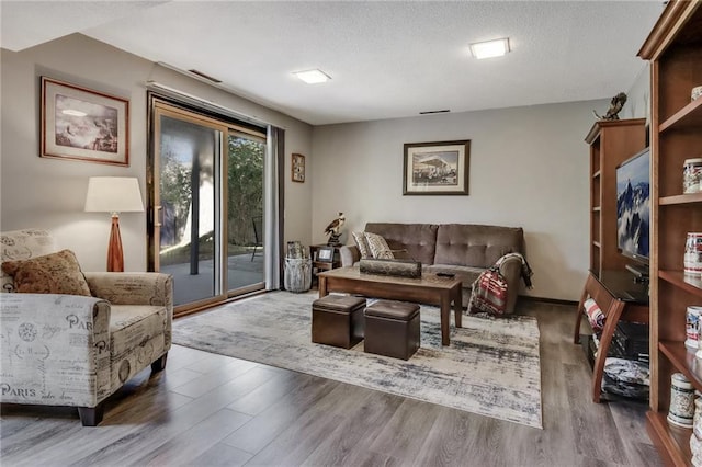 living room featuring a textured ceiling and wood-type flooring