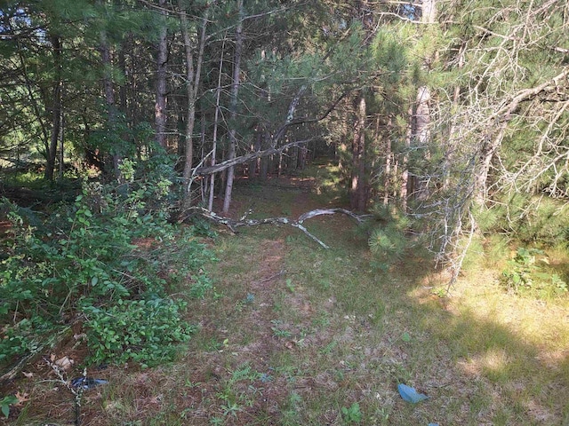 Listing photo 2 for LOT3 W 13th Ln, Wisconsin Dells WI 53965