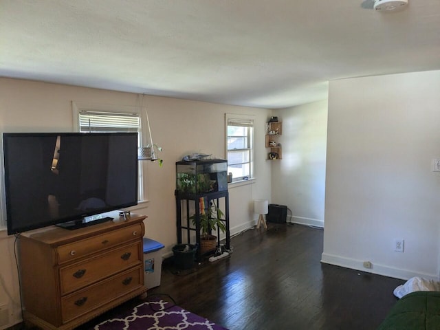 living room featuring dark hardwood / wood-style flooring