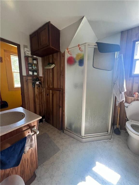 bathroom featuring vanity, toilet, and a shower with door