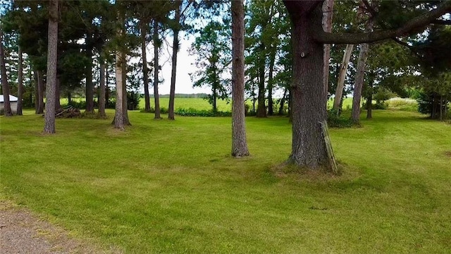 view of property's community with a yard