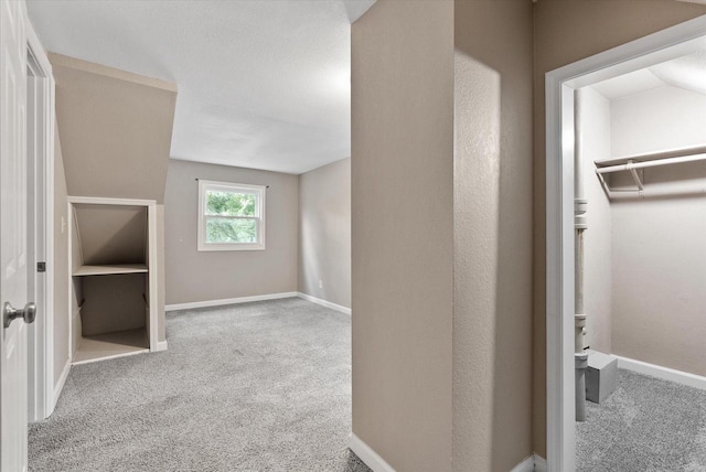 interior space featuring light carpet and a textured ceiling