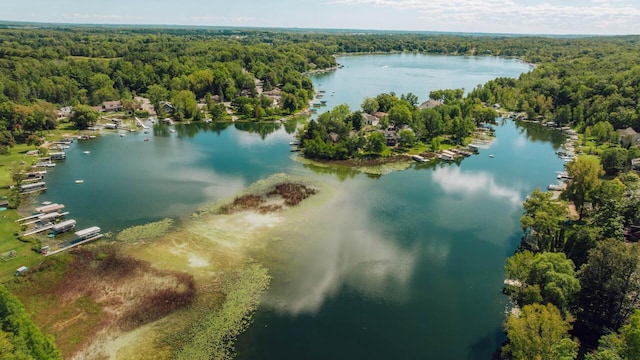 birds eye view of property with a view of trees and a water view