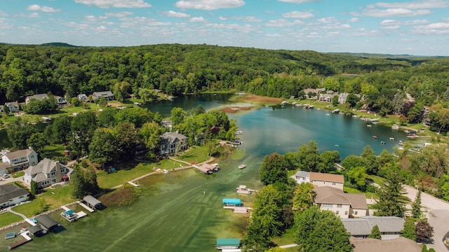 aerial view featuring a water view and a wooded view