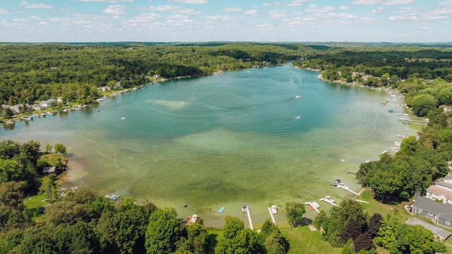 bird's eye view with a view of trees and a water view