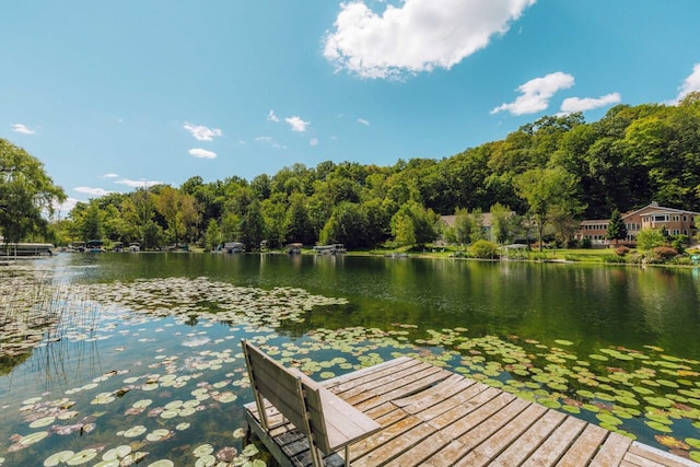 dock area with a water view