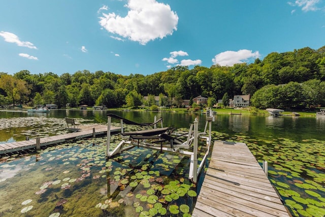 view of dock with a water view and a view of trees