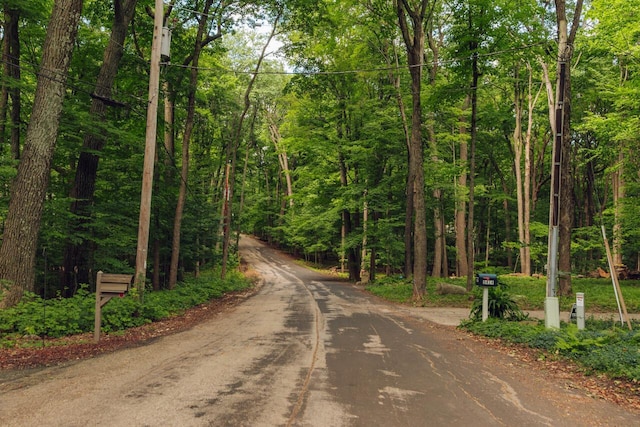 view of road with a wooded view