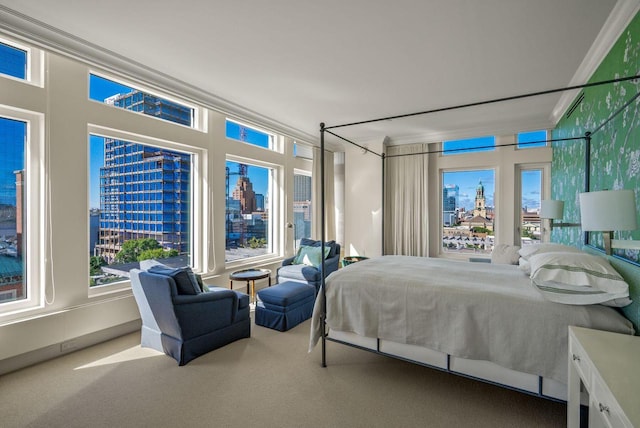 carpeted bedroom with a city view, multiple windows, and crown molding