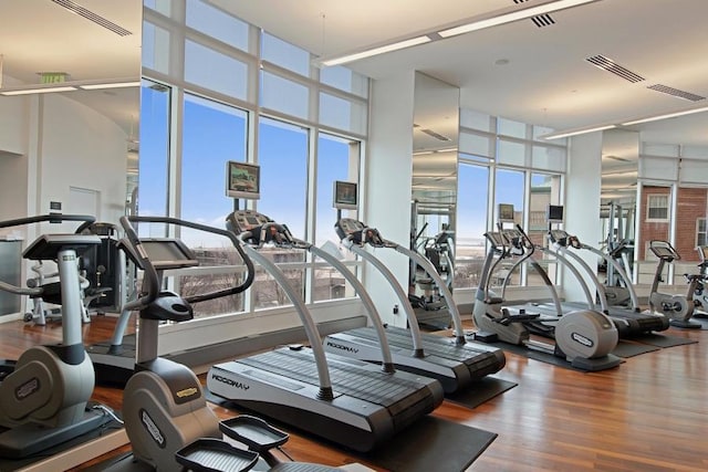 exercise room with a high ceiling, hardwood / wood-style floors, and expansive windows