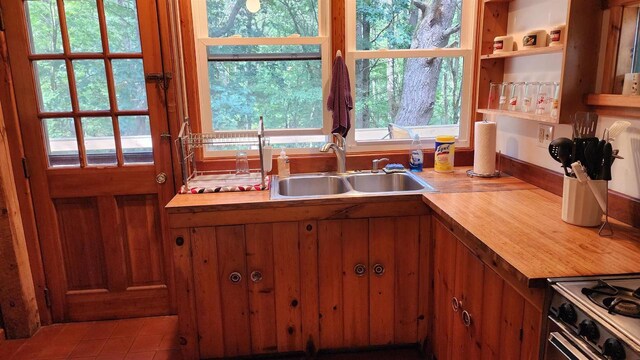 N697 County Rd N, Neshkoro, WI 54960 - kitchen with a sink, gas range, brown cabinets, and tile patterned flooring
