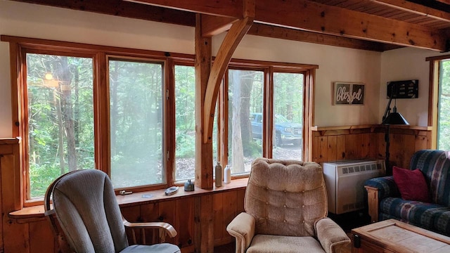 N697 County Rd N, Neshkoro, WI 54960 - living area featuring wainscoting, plenty of natural light, and beamed ceiling
