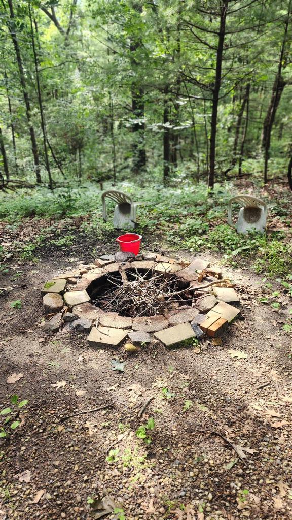 N697 County Rd N, Neshkoro, WI 54960 - view of yard with an outdoor fire pit and a forest view
