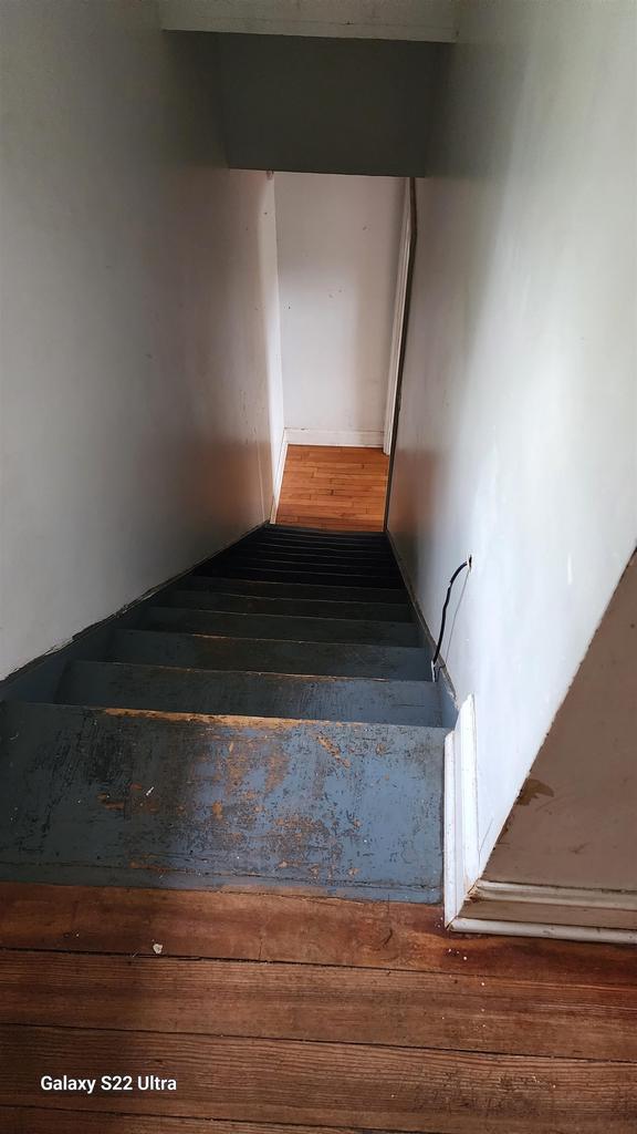 N697 County Rd N, Neshkoro, WI 54960 - stairs featuring wood finished floors
