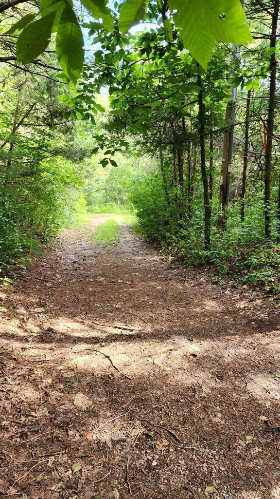 N697 County Rd N, Neshkoro, WI 54960 - view of undeveloped land
