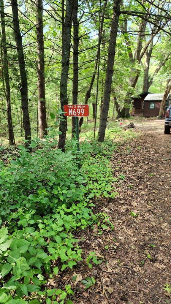 N697 County Rd N, Neshkoro, WI 54960 - view of yard