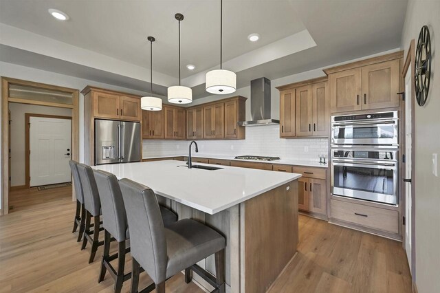 1629 N Honeysuckle Cir, De Pere, WI 54115 - kitchen featuring a sink, a raised ceiling, stainless steel appliances, wall chimney range hood, and light wood-style floors