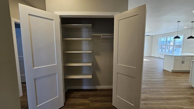 view of closet