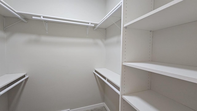 view of walk in closet