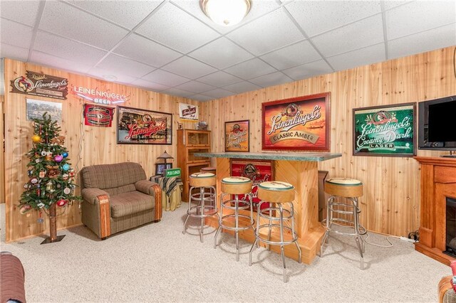 N1071 Ranch Rd, Holcombe, WI 54745 - interior space with carpet flooring, a fireplace, a dry bar, and wood walls