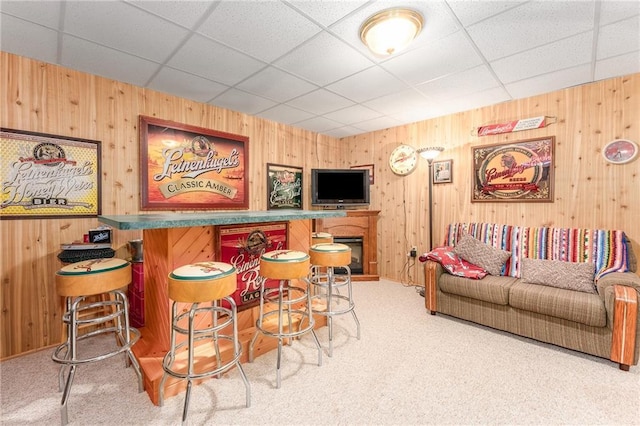 N1071 Ranch Rd, Holcombe, WI 54745 - bar with wood walls, a drop ceiling, and carpet
