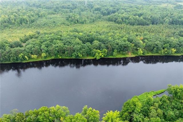 N1071 Ranch Rd, Holcombe, WI 54745 - drone / aerial view with a water view and a forest view