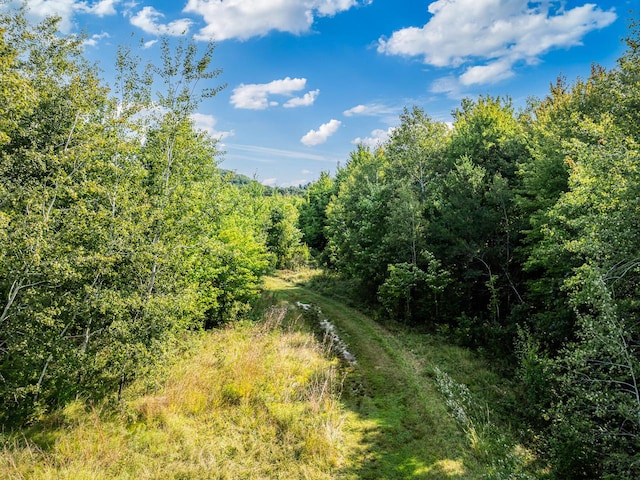 view of landscape