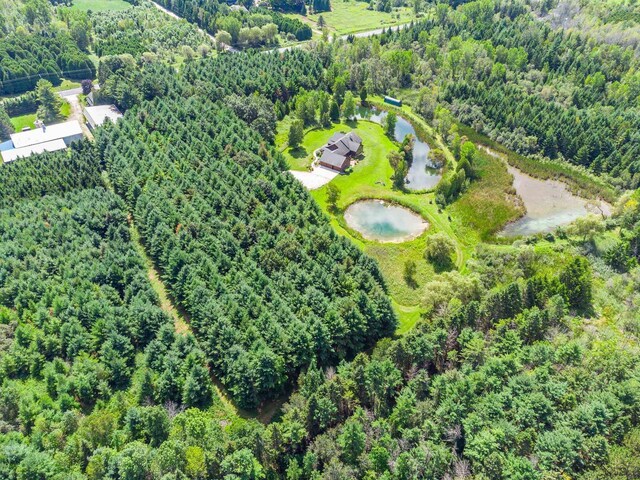 bird's eye view featuring a view of trees